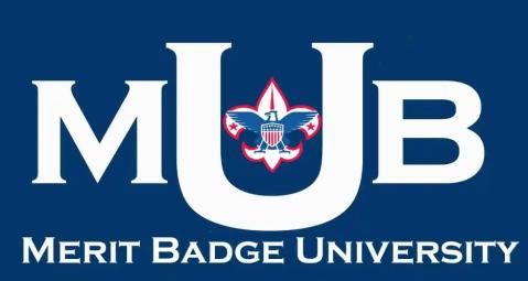 merit badge college