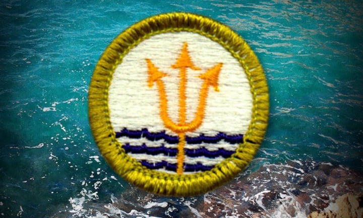 merit badge history