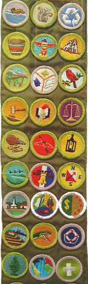 Merit badge (Boy Scouts of America) - Wikipedia