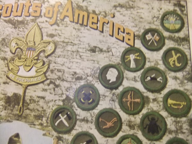 Merit Badges | The Scout Patch Auction News and Views