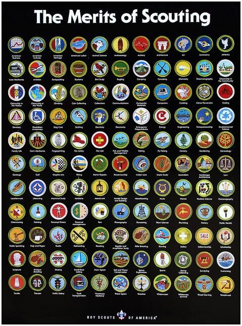 Boy Scout Merit Badge Books — DE SOTO AREA COUNCIL
