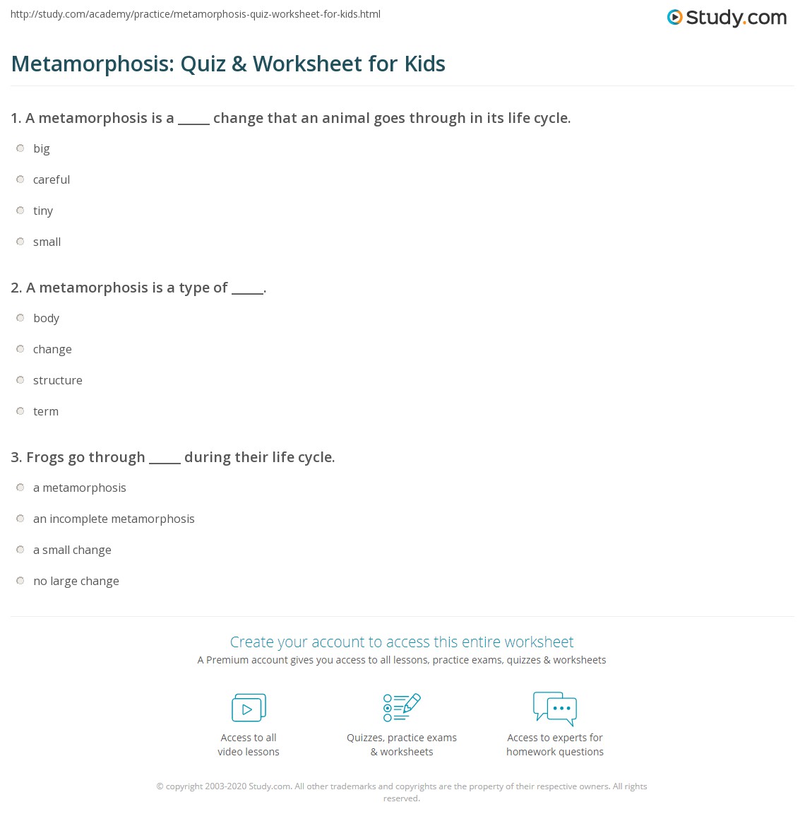 Metamorphosis: Quiz &  Worksheet for Kids | Study.com