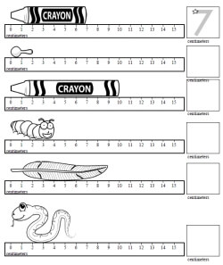 metric length worksheet