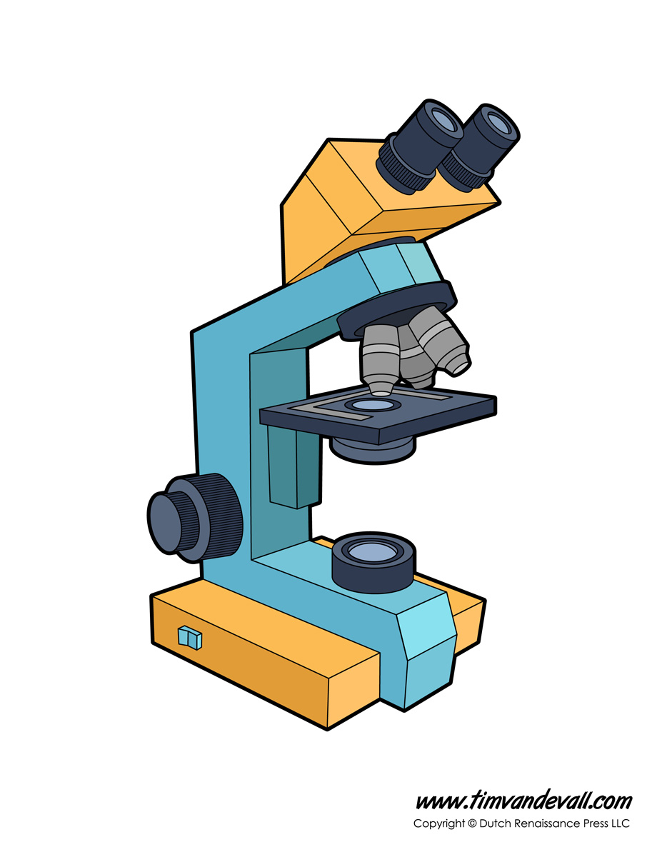 Microscope Diagram Labeled, Unlabeled and Blank | Parts of a ...