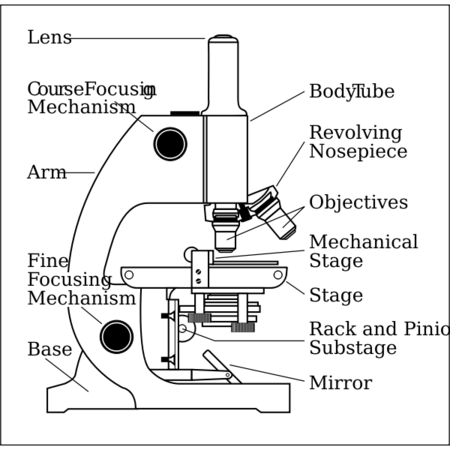 Parts Of A Microscope Labeling Functions Worksheet Science, 55% OFF
