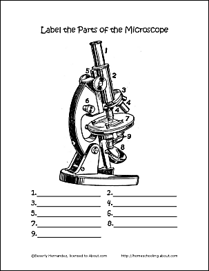 Learn About Microscopes With Fun, Free Printables