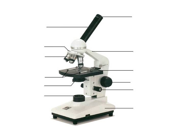 The Compound Microscope Quiz