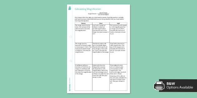 Calculating Magnification Worksheet | Science | Beyond