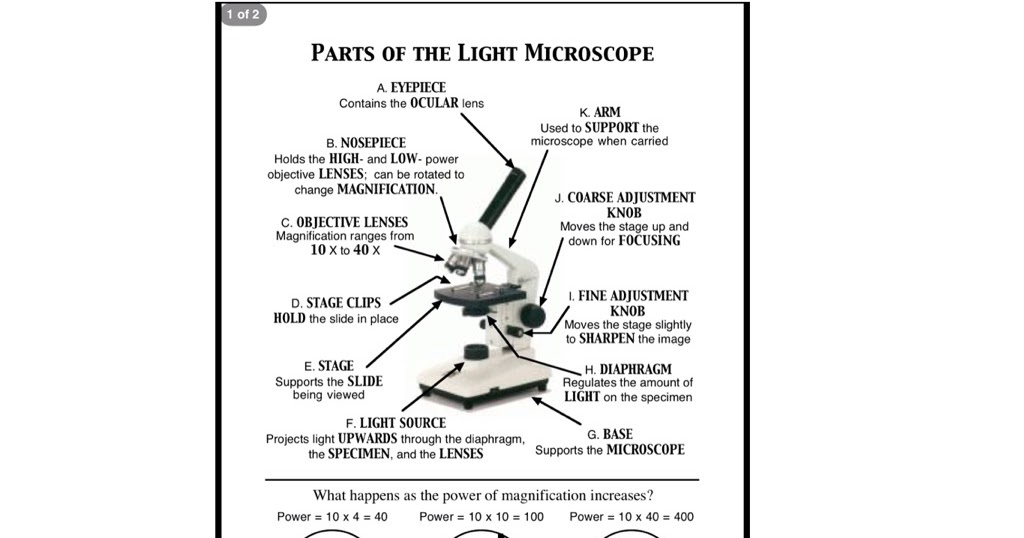 TGIF! Microscope Mania