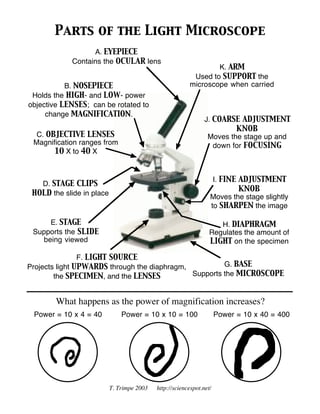 microscope parts and functions worksheet
