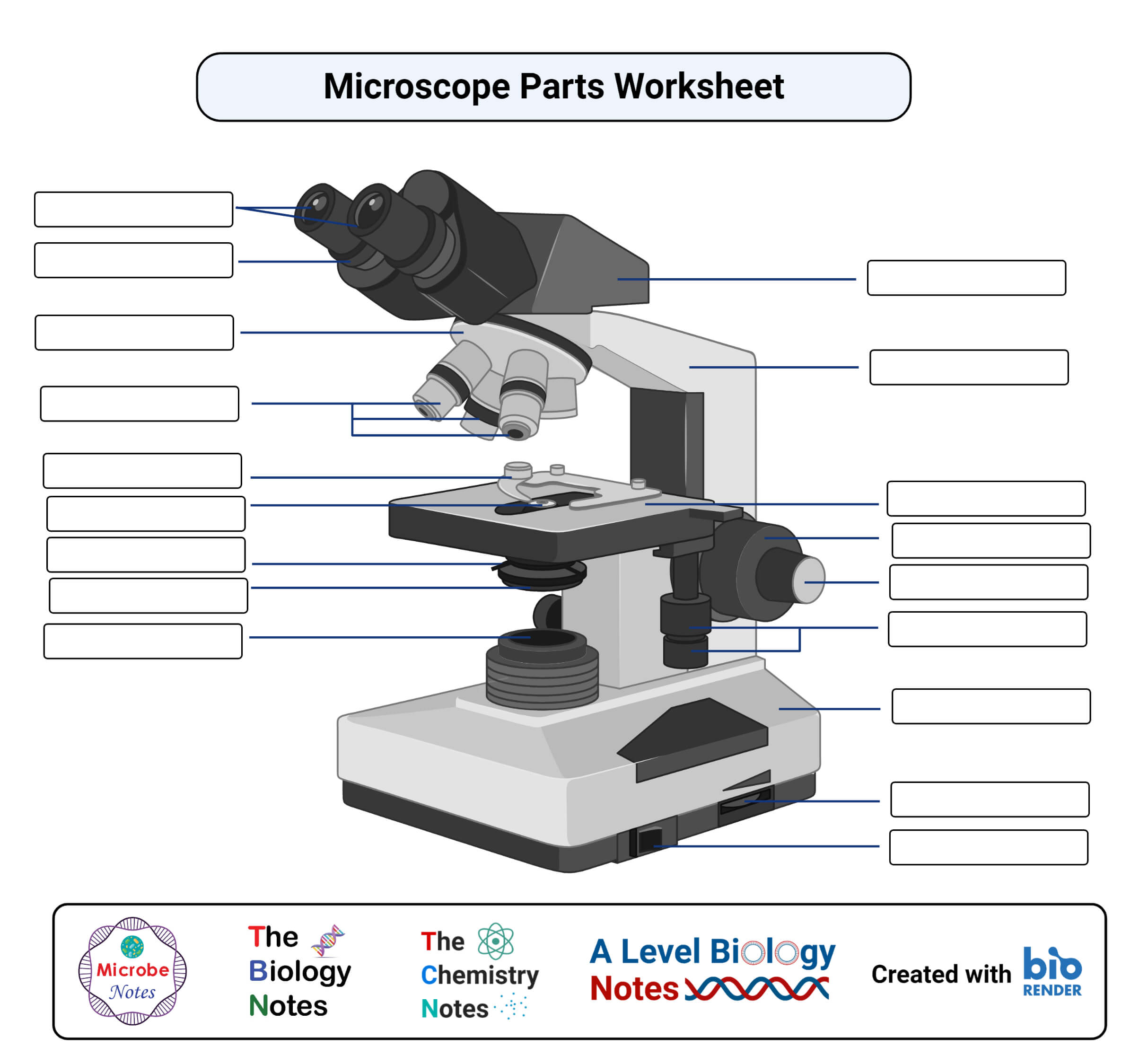 microscope parts worksheet