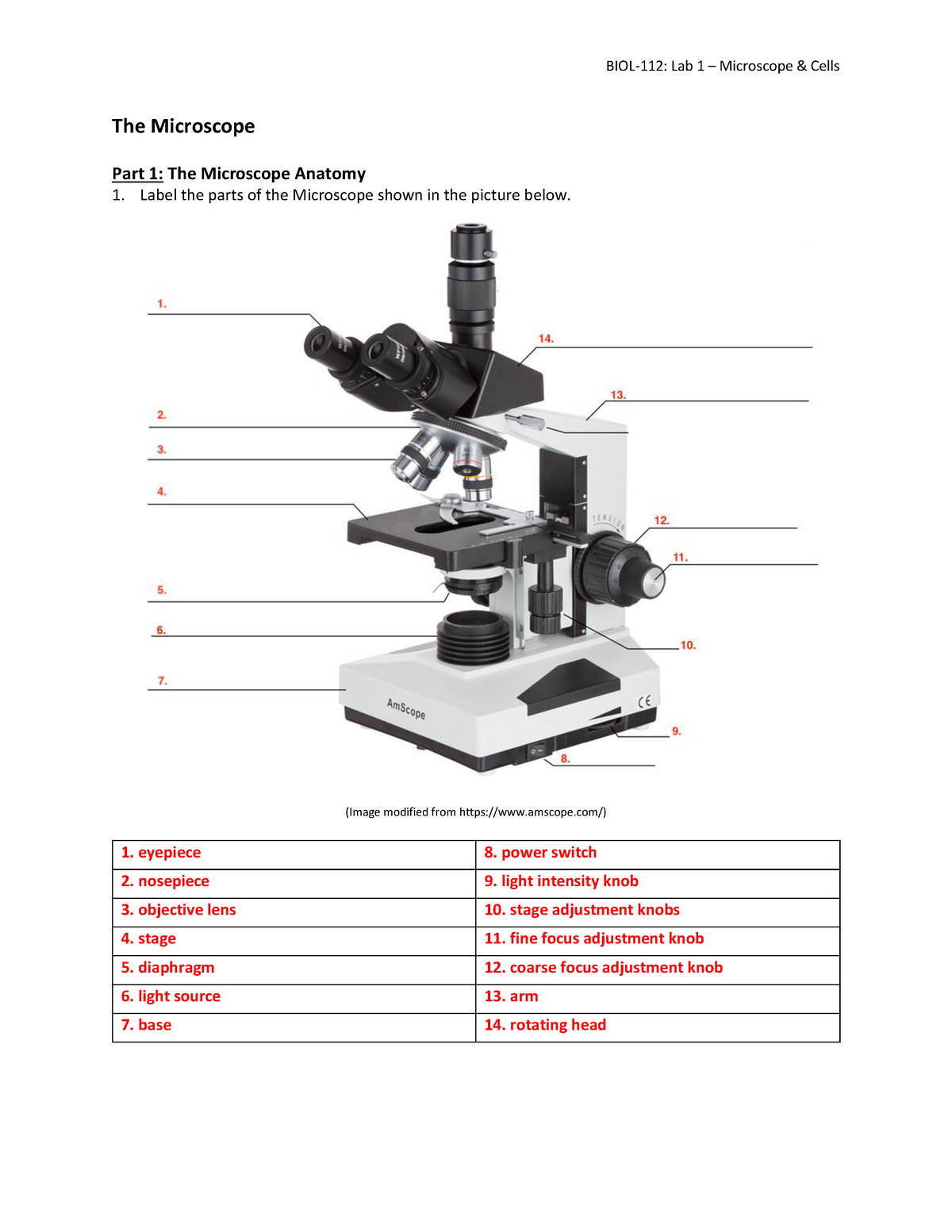 BIOL 112 Lab 1 Activtiy Worksheet Microscope Cells The 