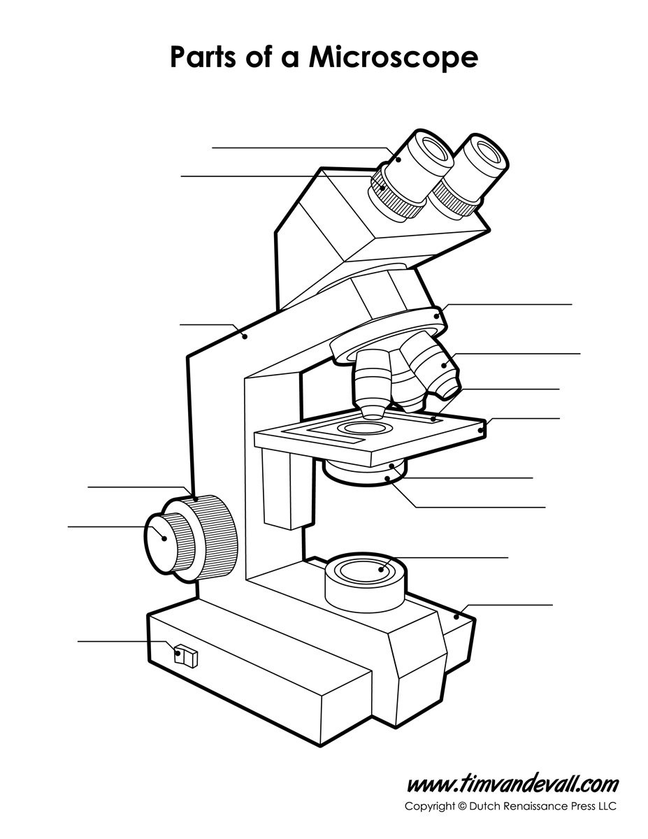 Microscope Diagram Labeled, Unlabeled and Blank | Parts of a ...