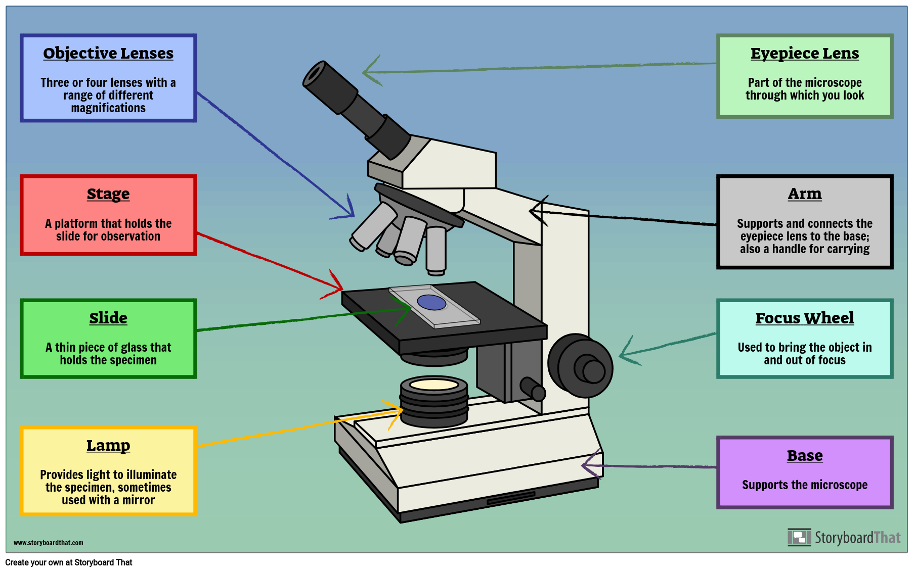 microscope parts worksheet