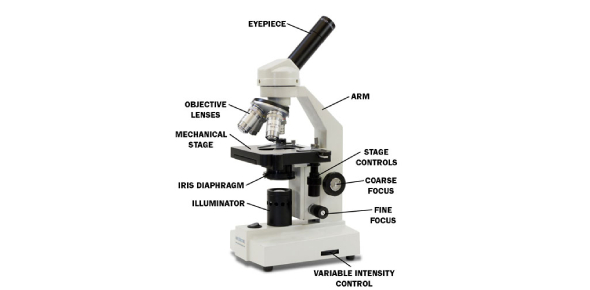 microscope parts worksheet