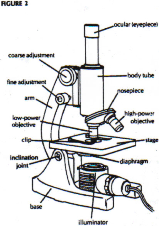 microscope parts worksheet