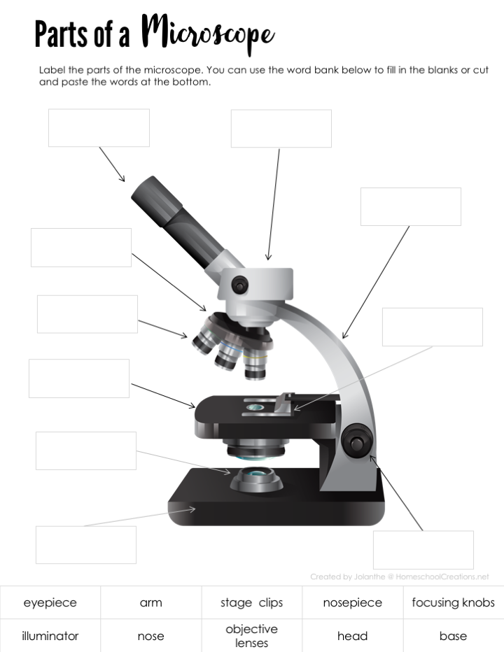 Free Microscope Parts Worksheet Download Free Microscope Parts 