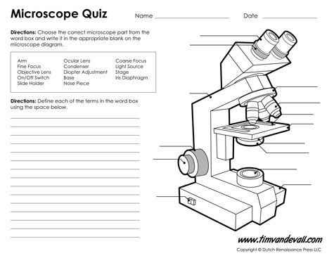 Microscope Diagram Labeled, Unlabeled and Blank | Parts of a ...