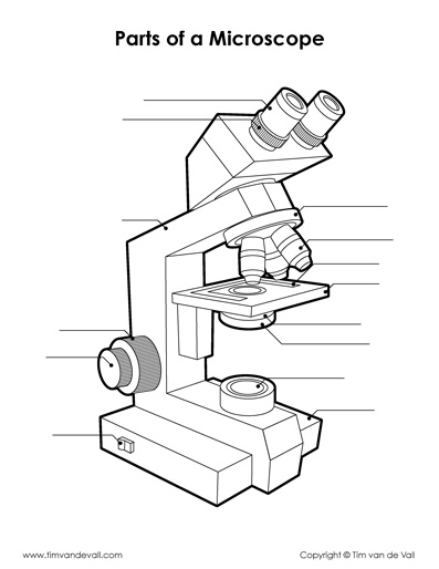 Microscope Diagram - Tims Printables