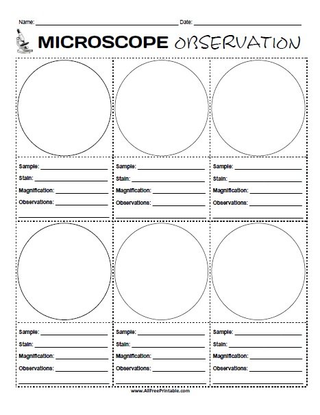 Microscope Observation Worksheet - Free Printable