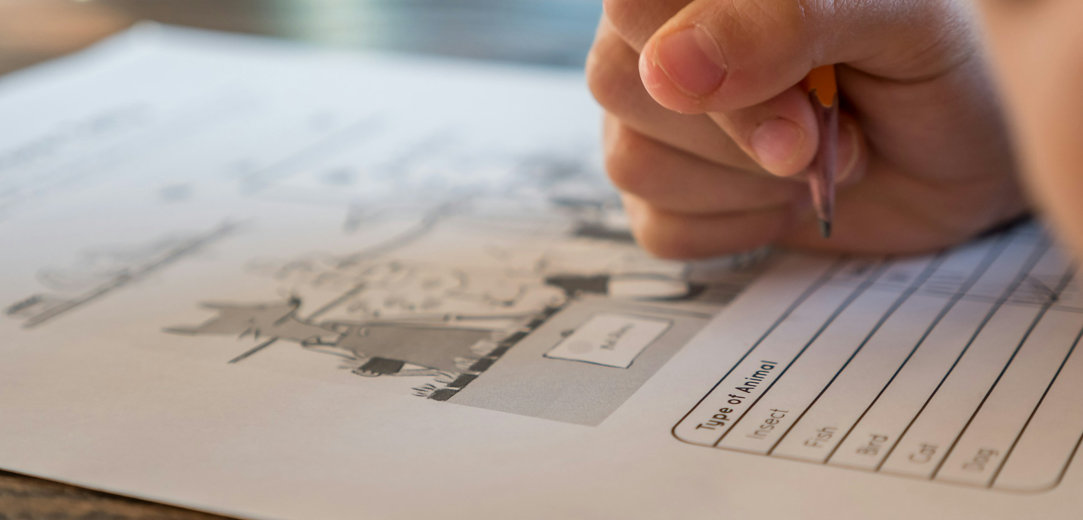 How to Use Copilot as a Worksheet Maker | Microsoft Bing