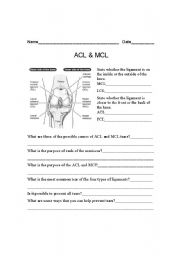 middle school health worksheet