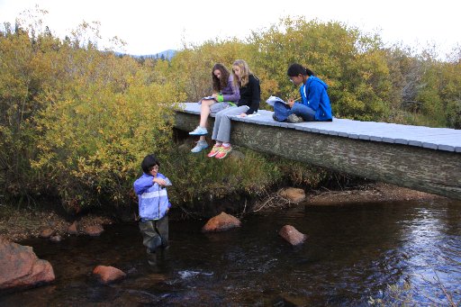 Middle school students study at CSU Mountain Field Station ...