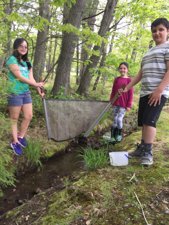 Students Head Outdoors to Study Maines Environment