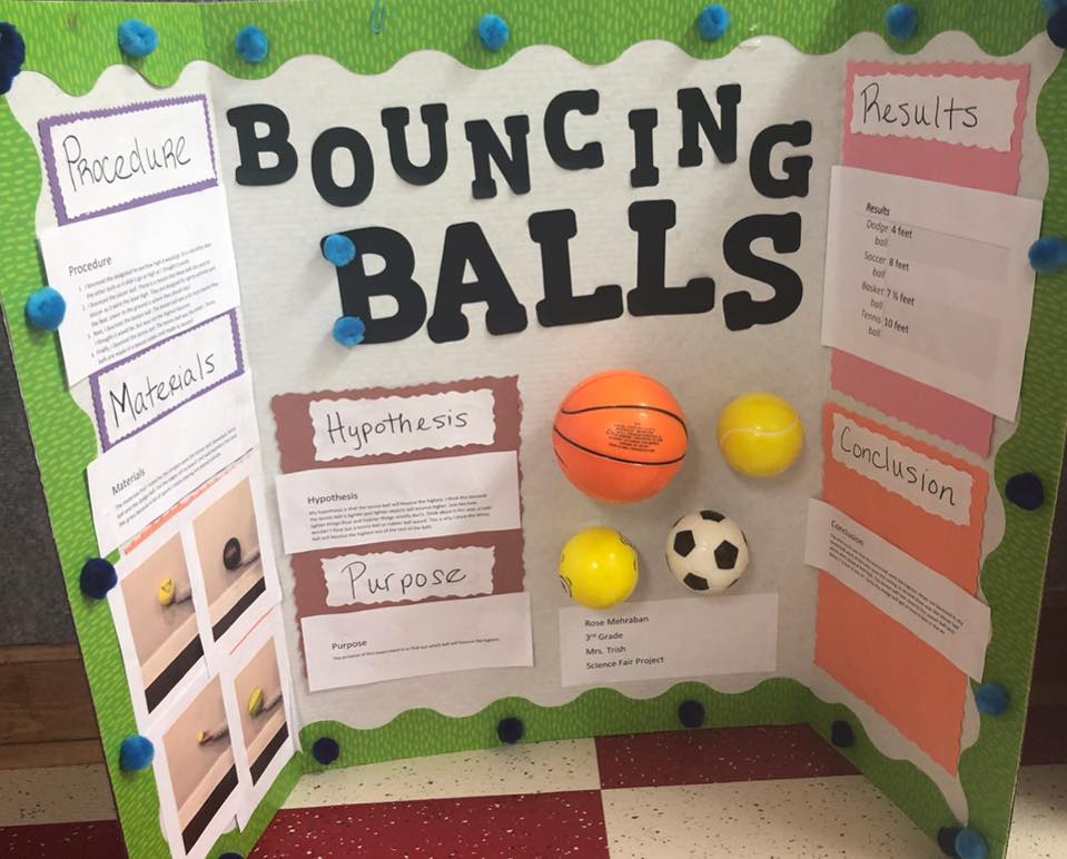 2019 Science Fair - McGinnis Woods Country Day School