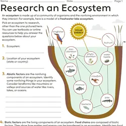 middle school science worksheet free
