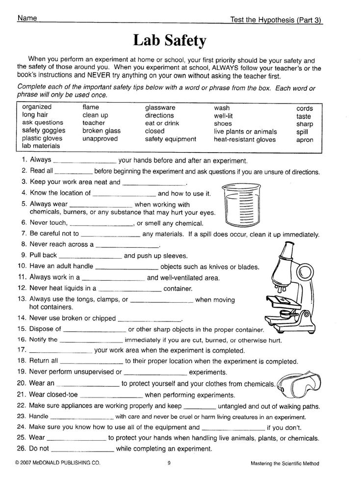 7+ Middle School Science Skills Practice Worksheet