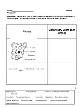 middle school science worksheet