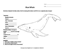 middle school worksheet