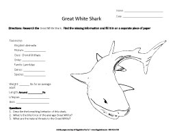 Middle School Worksheets: Giggletimetoys.com