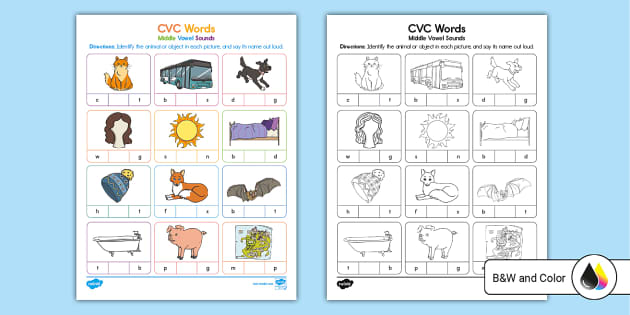 CVC Words Middle Vowel Sounds Activity (teacher made)