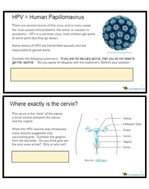 mitosis and cancer worksheet