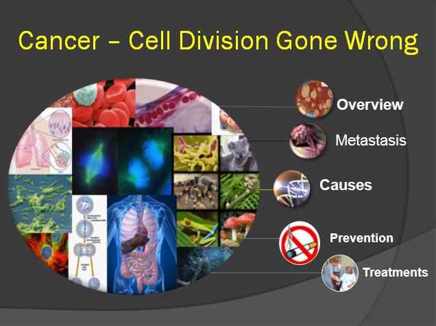 Cancer: Uncontrolled Cell Division Lesson - High School Biology ...