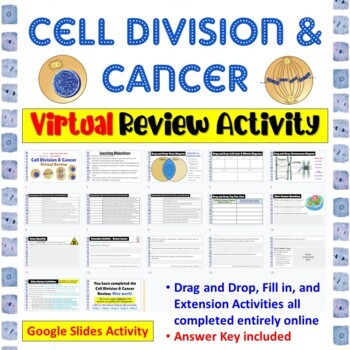 mitosis and cancer worksheet