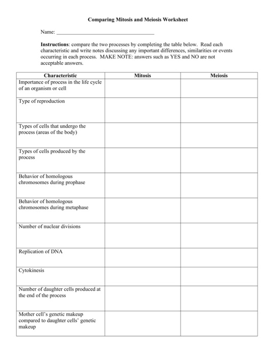 mitosis and meiosis worksheet answers