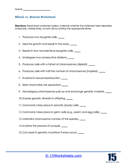 mitosis and meiosis worksheet answers