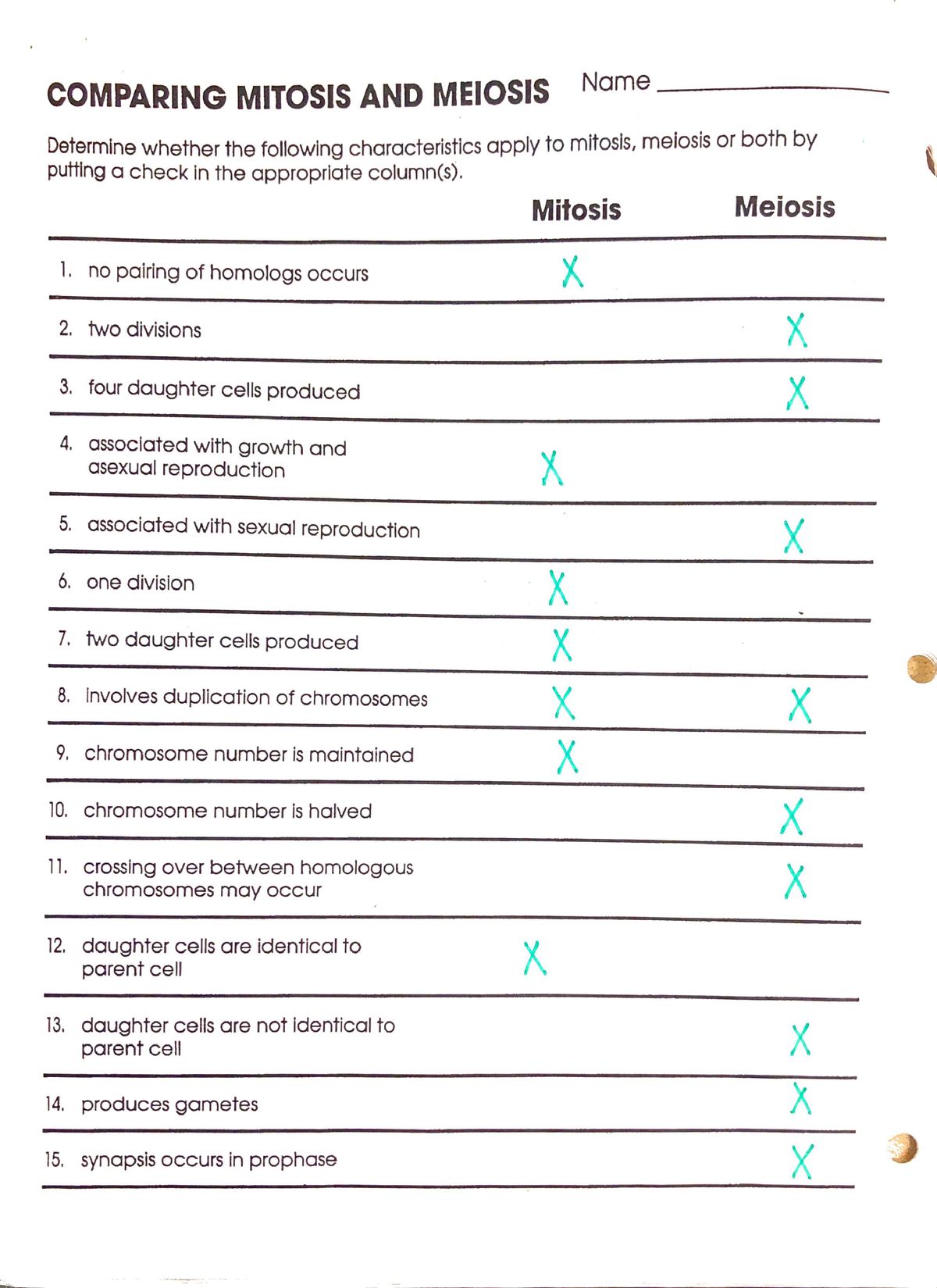mitosis and meiosis worksheet answers