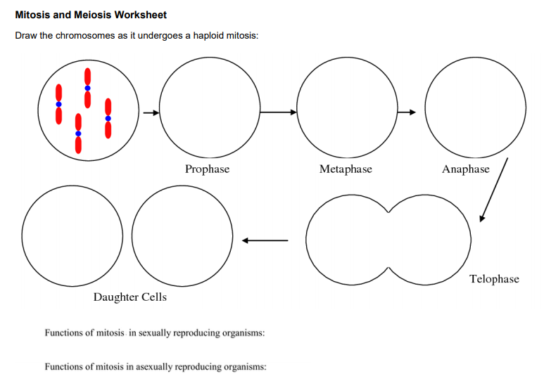 Solved I need help filling this diagram with the chromosomes ...