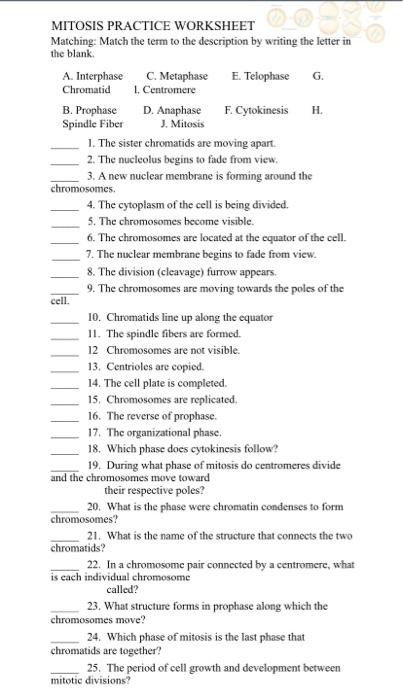 mitosis matching worksheet