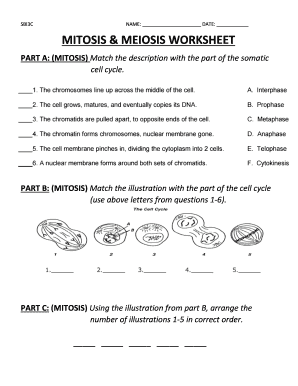 The Cell Cycle Worksheet Form - Fill Out and Sign Printable PDF ...