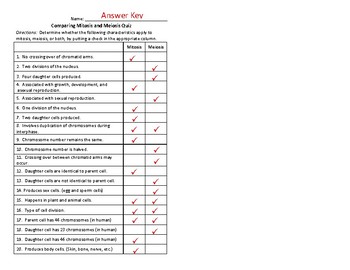 mitosis meiosis comparison worksheet