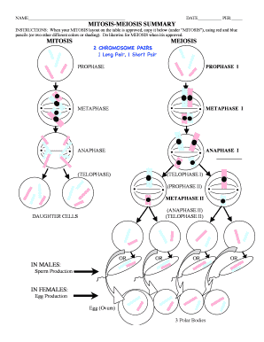 mitosis meiosis summary worksheet