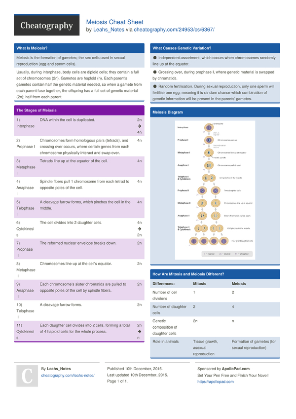 mitosis meiosis summary worksheet