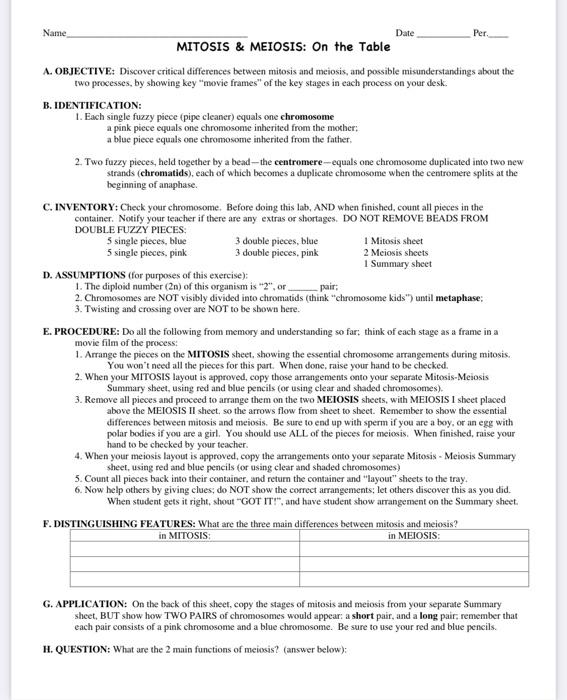 mitosis meiosis summary worksheet