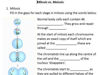 mitosis meiosis worksheet