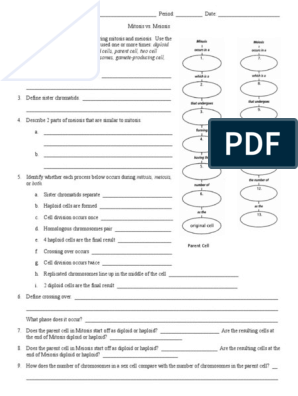 mitosis versus meiosis worksheet answer key